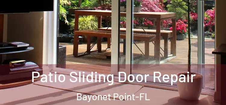  Patio Sliding Door Repair Bayonet Point-FL